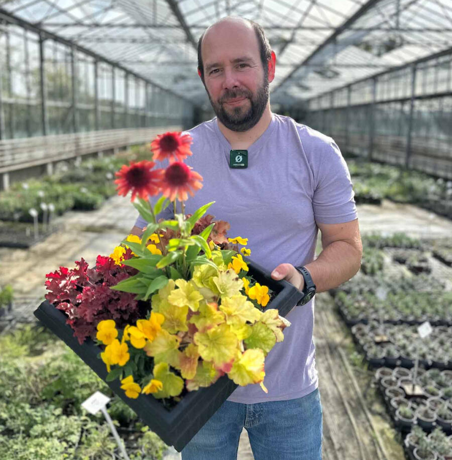 Alan Holding Sunset container